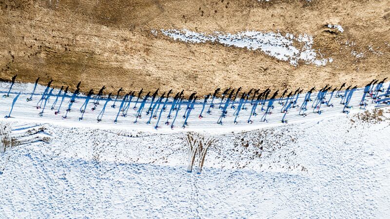 Whyte Entropy-mostra foto-Malpensa