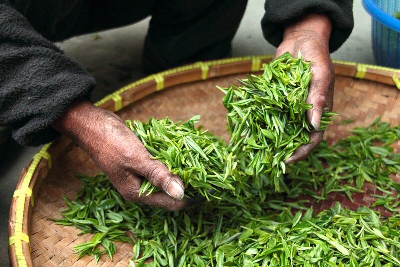 Tè verde