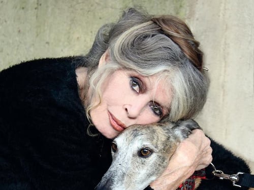 Brigitte Bardot accusata di incitamento all'odio razziale