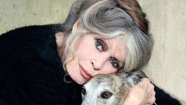 Brigitte Bardot accusata di incitamento all'odio razziale