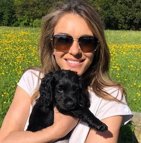 Liz Hurley, le immagini più sexy 7