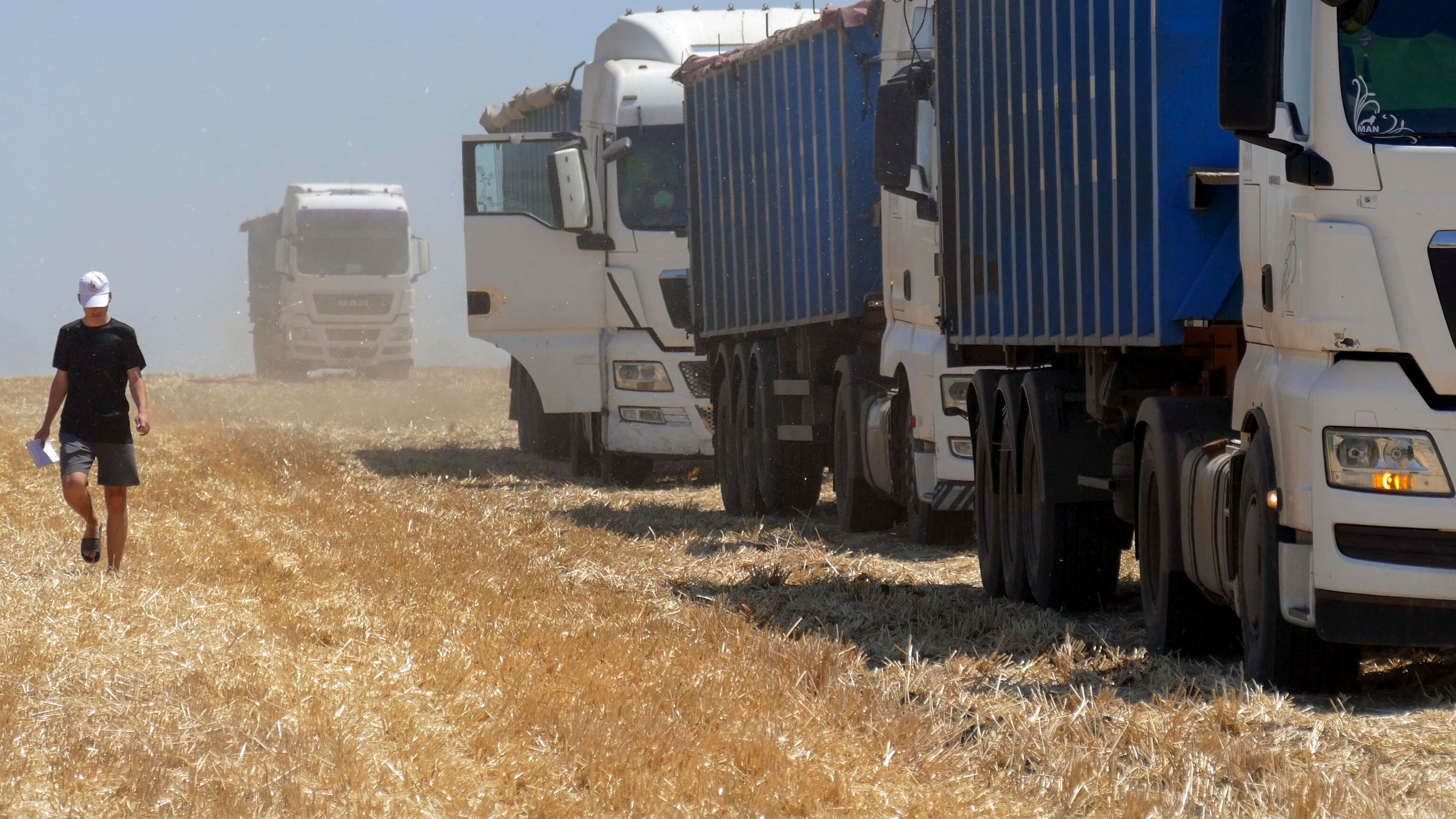 “Corridoi per il grano ucraino”: cosa svela l’ultima mossa della Polonia