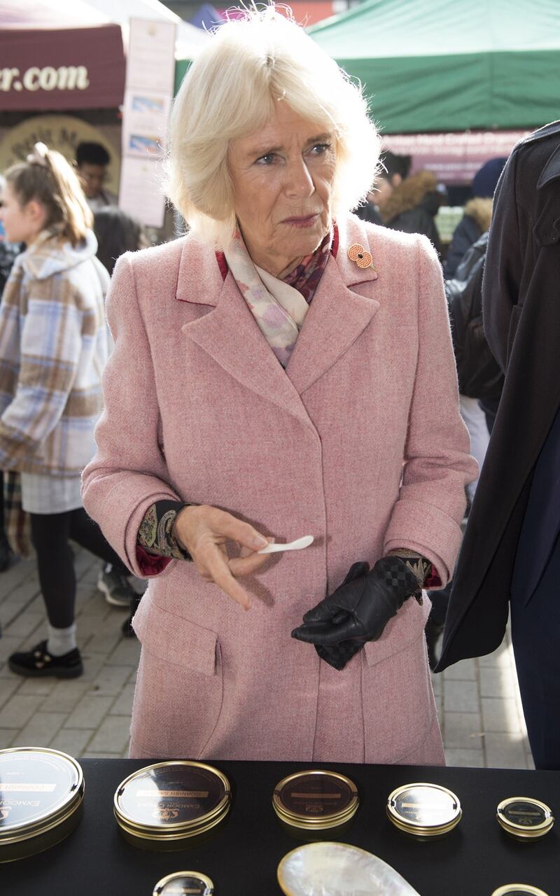 Il Principe Carlo e Camilla Parker Bowles: foto 10