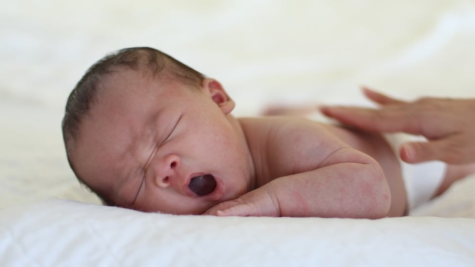 Ecco perché lo sbadiglio è contagioso