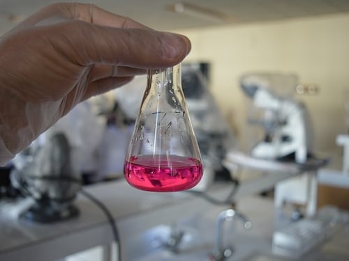 Osteoporosi, scoperta una proteina che previene la perdita ossea