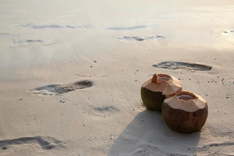Cocco