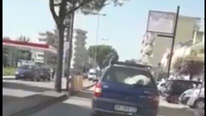 Trasporta il pony nel bagagliaio dell’auto: il video choc