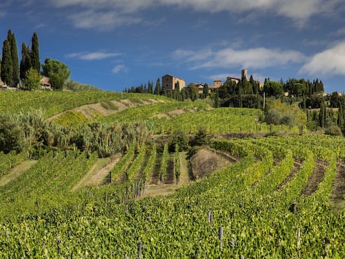 Castello di Volpaia si affida a Sarzi Amadè