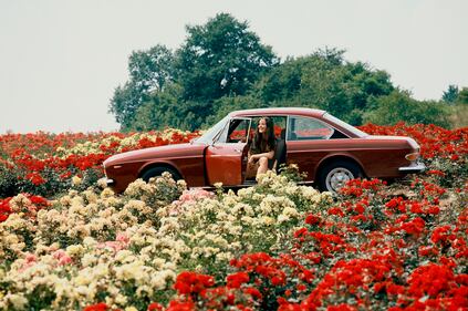 Alcuni dei modelli Lancia 9