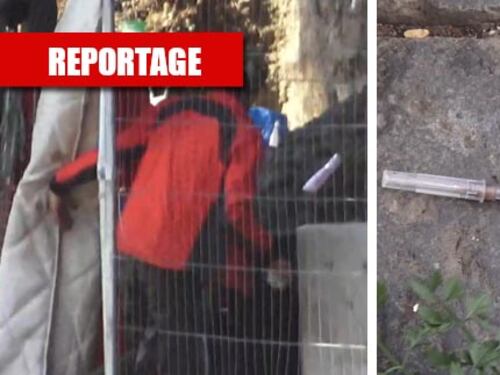 "Qui morirà un'altra Desirée..." Il fortino dei migranti fa paura