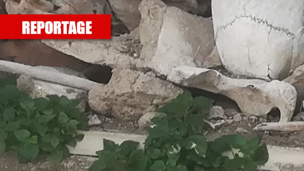 Lapidi divelte e ossa tra i viali: un viaggio nel degrado del cimitero di Poggioreale