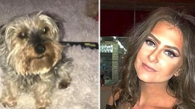 Cameriera licenziata perché non va a lavoro dopo morte del cane