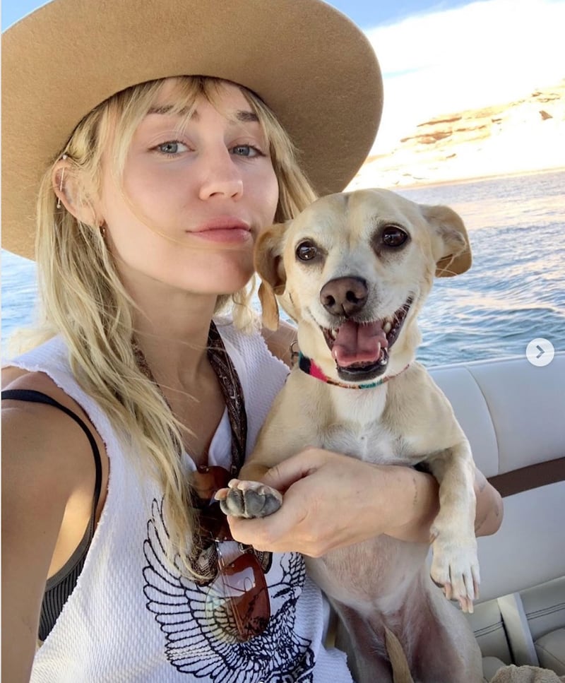 Miley Cyrus si prepara ad Halloween: foto 2