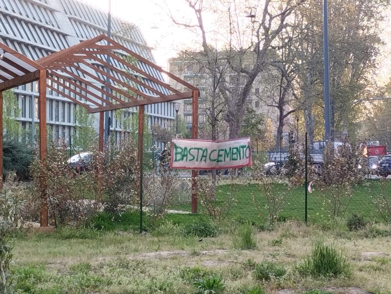 Appello al Comune per salvare gli alberi del giardino Lea Garofalo 5