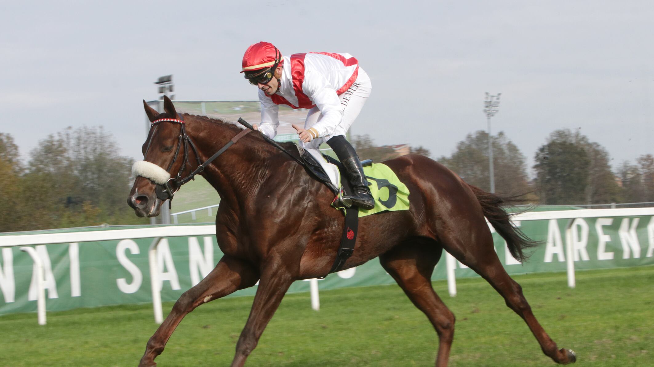 St. Leger, l’ultimo atto di una nobiltà decaduta