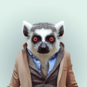 Avete mai visto animali vestiti da esseri umani? 1