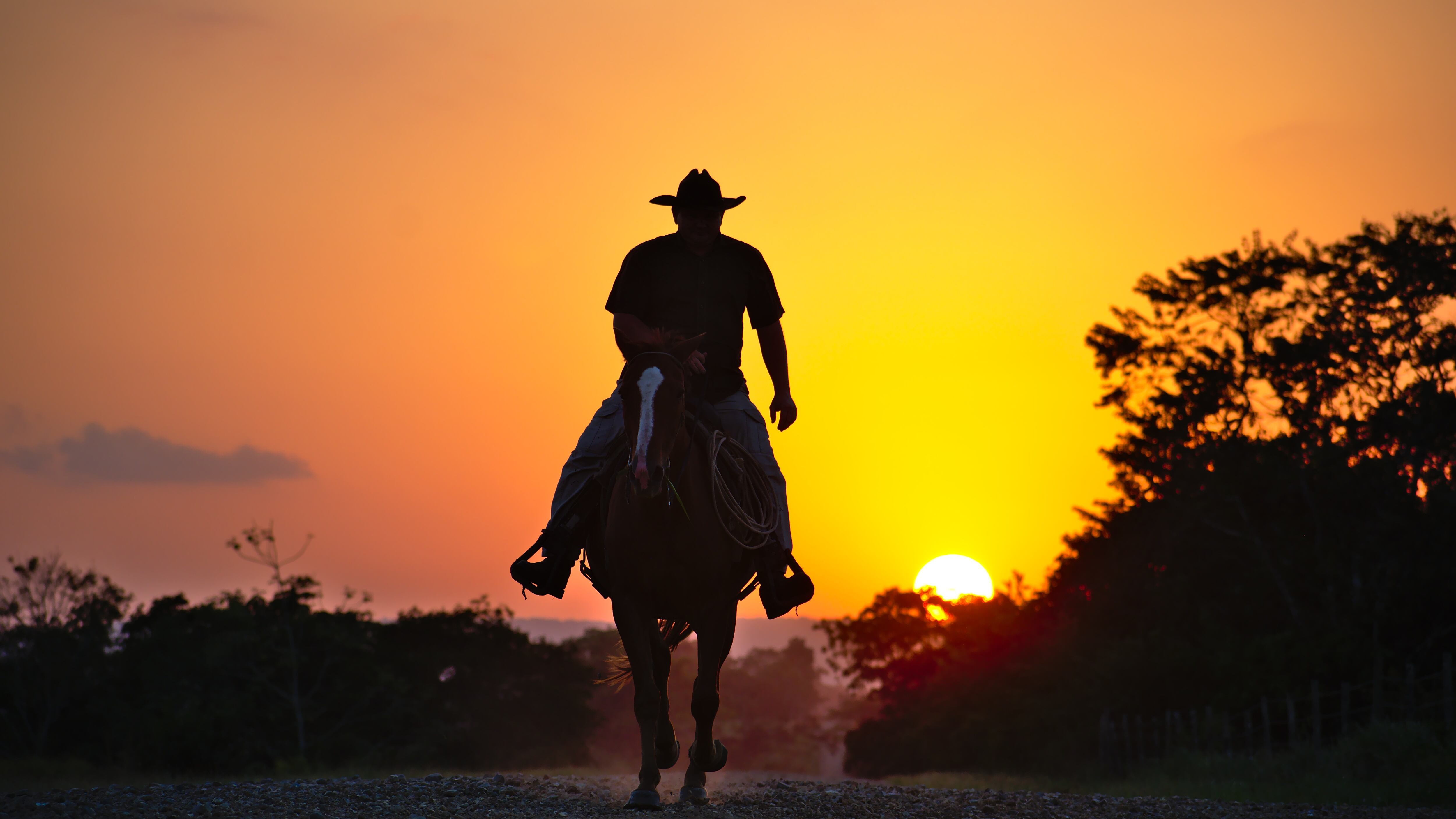 Torna il lato nero del vecchio West. E cavalca in "Compton Cowboys"