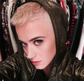 Katy Perry, le foto della cantante 15
