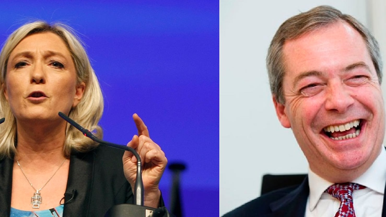 Le Pen e Farage attaccano Mattarella: "In Italia un colpo di Stato"