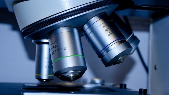 Mieloma multiplo, scoperte nuove opzioni di trattamento