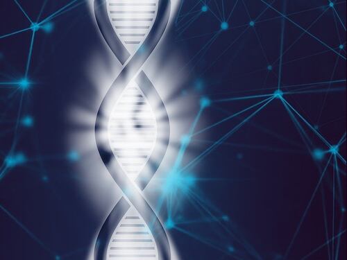 Astaxantina, la molecola che contrasta l’invecchiamento