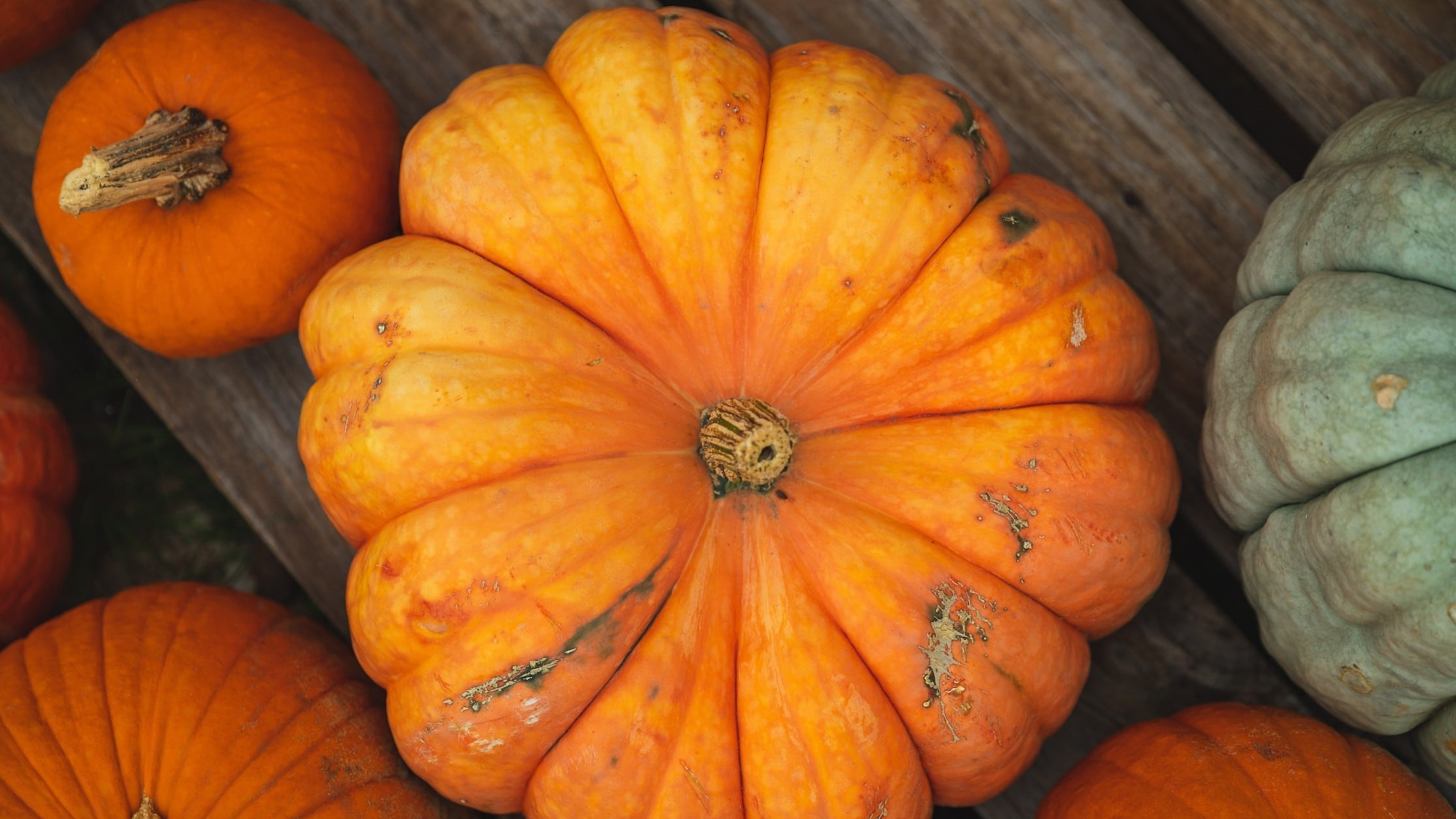 Over 60 e zucca, quali sono le sue proprietà e i benefici per la salute