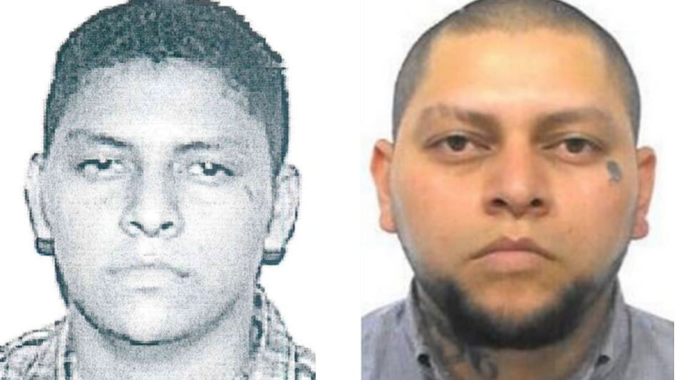 Fermato ricercato della gang latina Ms13: si nascondeva in Italia