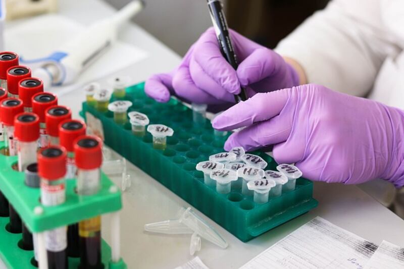 Laboratorio