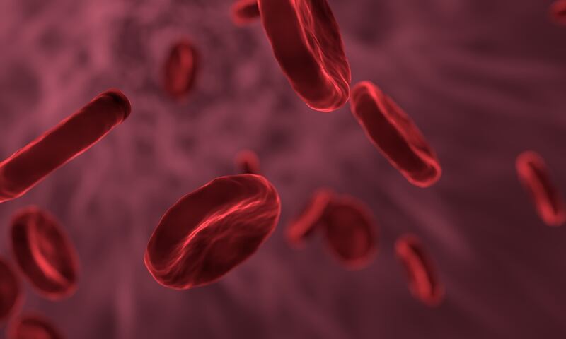 Beta-talassemia, così un nuovo farmaco trasforma la vita dei pazienti