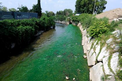 Il Lambro si colora di verde 7