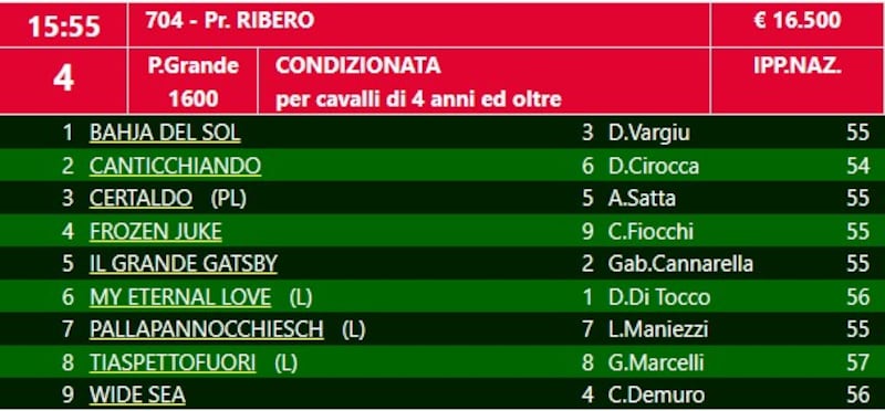 Ribero 2024