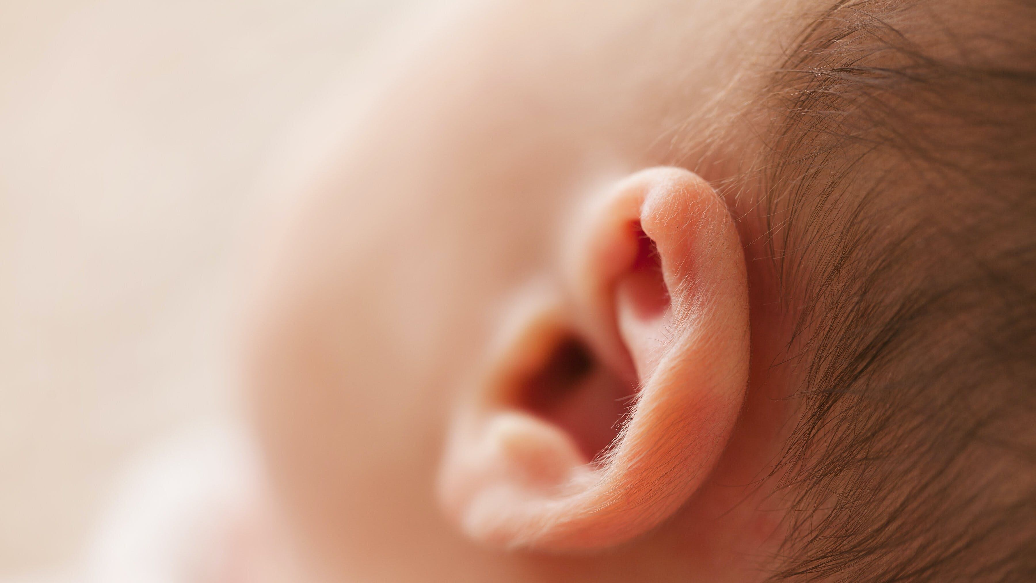Inquinamento acustico: perché i più giovani rischiano danni all’udito