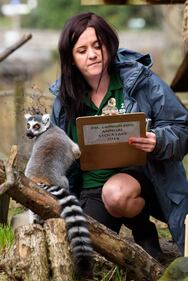 Allo zoo di Londra è il giorno del censimento 4