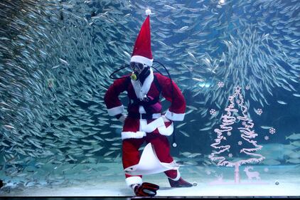 Babbo Natale sott'acqua, con i pesci di Seul 4