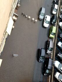 I danni del maltempo a Roma 7