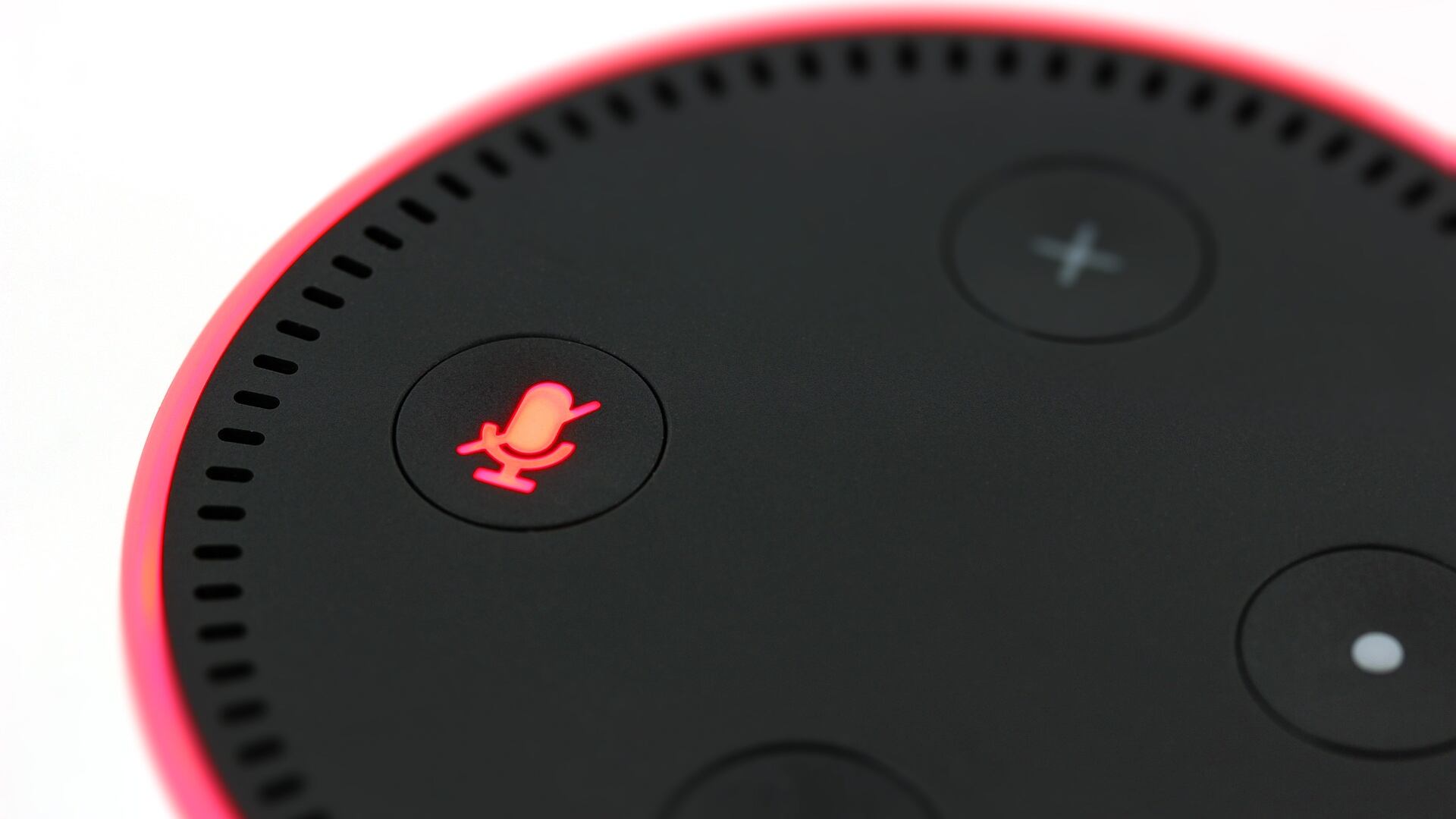 "Non sapete usare Alexa": ecco perché per Amazon è un problema
