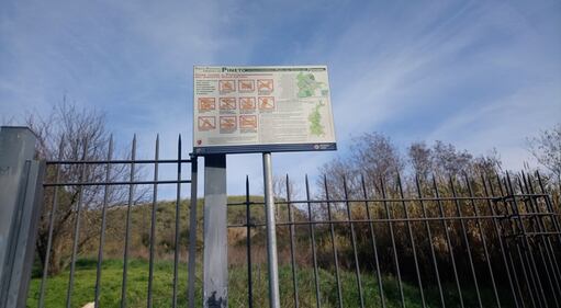 Roma, il degrado del parco naturale del Pineto 4