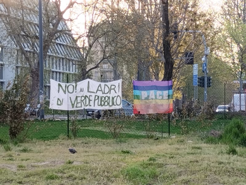 Appello al Comune per salvare gli alberi del giardino Lea Garofalo 8