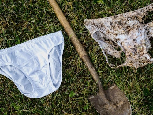 Tutti gli Ig Nobel 2026, dal bacio dei Neanderthal alle mutande sepolte