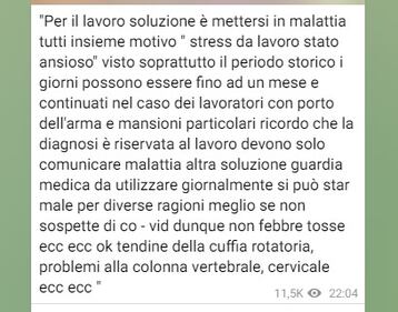 Le chat dei no vax, tra  5