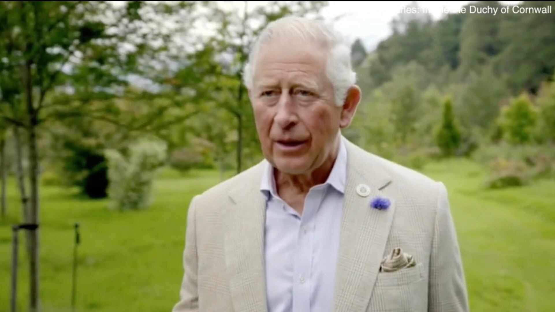La lezione del Principe Carlo a William ed Harry