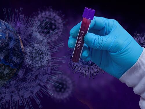 Covid, ecco il modo in cui i nanocorpi lo bloccano