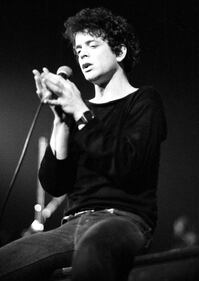 Lou Reed, leggenda del rock 5