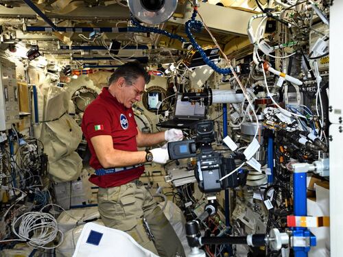 Nespoli torna sulla terra