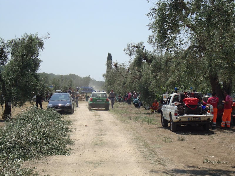 Ulivi abbattuti, il blitz a Oria 9