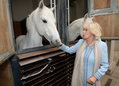 Carlo e Camilla alla Scuola di equitazione spagnola di Vienna 2