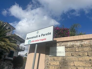 Le fragole di Parete 1