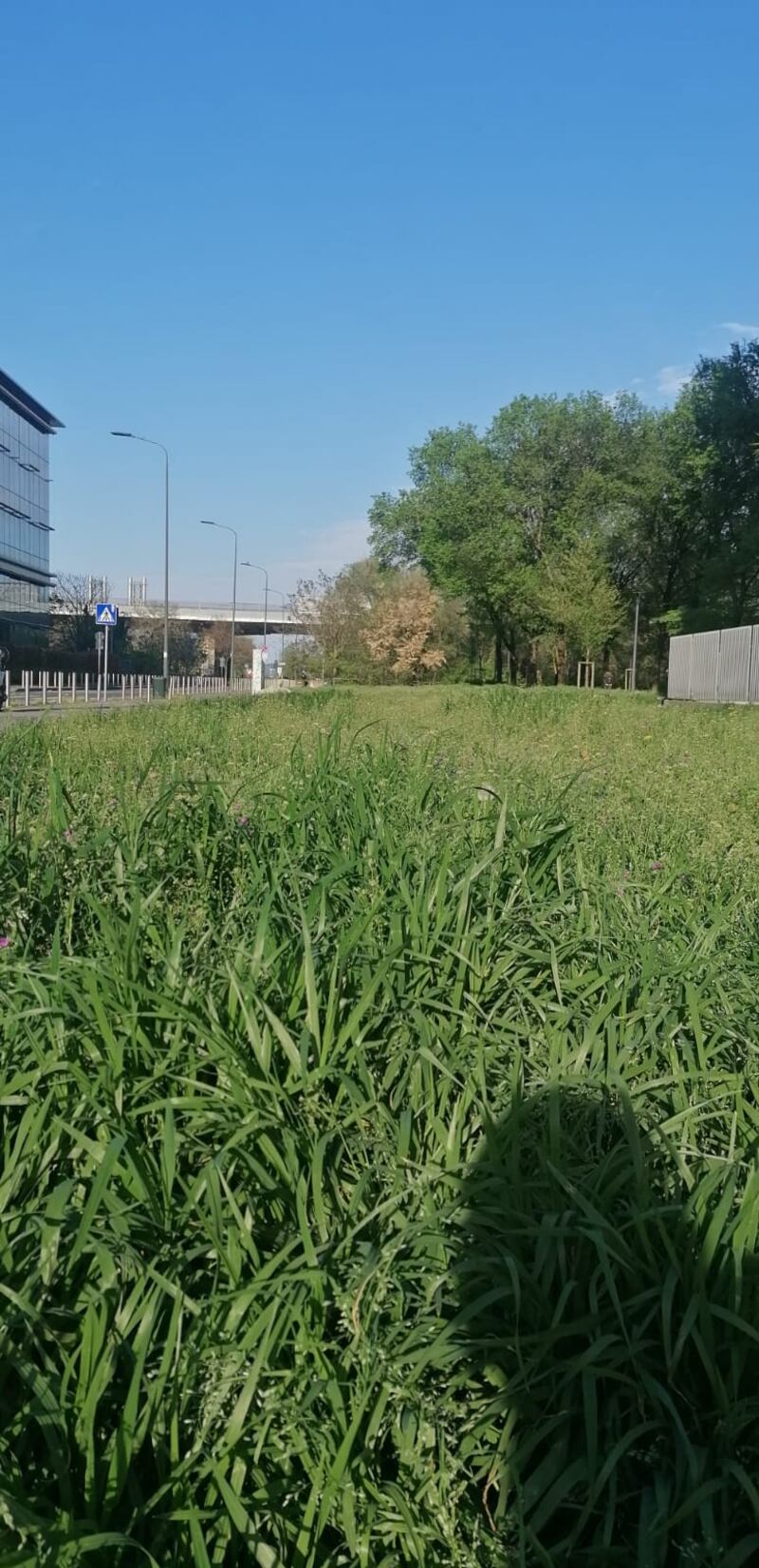 Caravan e roulotte in via Rubattino e zone limitrofe 4
