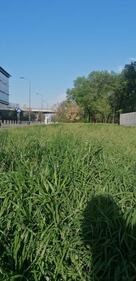 Caravan e roulotte in via Rubattino e zone limitrofe 4