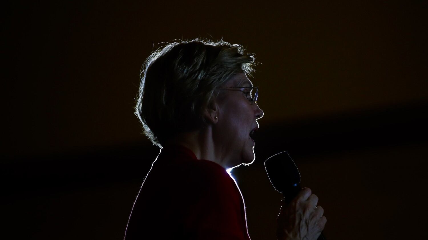 Anche Warren abbandona Il duello è Sanders-Biden